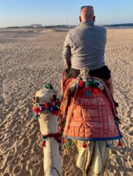 Egypt, Marsa Alam - Riding a camel