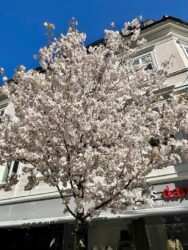 Sweden, Karlskrona - Spring