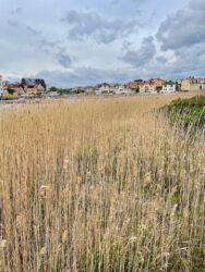 Sweden, Karlskrona - View from Rocky Island
