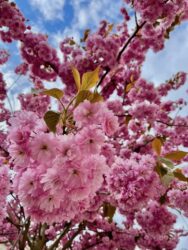 Sweden, Karlskrona - Spring