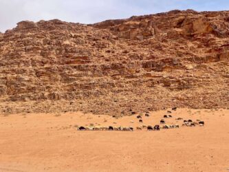 Jordan, Wadi Rum - Desert