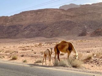 Jordan, Desert Highway - On the road