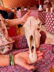 Jordan, Wadi Rum - Camel skull