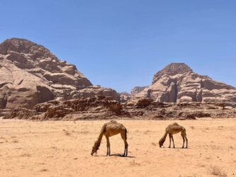 Jordan, Wadi Rum - Desert