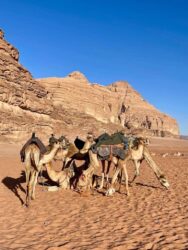 Jordan, Wadi Rum - Desert