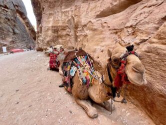 Jordan, Petra - Locals