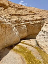 Jordan, Wadi Ghuweir - Hiking the Wadi Ghuweir Trail