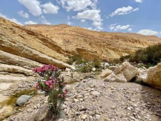 Jordan, Wadi Ghuweir - Hiking the Wadi Ghuweir Trail