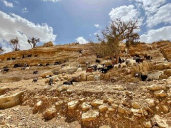 Jordan, Wadi Ghuweir - Hiking the Wadi Ghuweir Trail