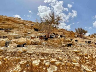 Jordan, Wadi Ghuweir - Hiking the Wadi Ghuweir Trail