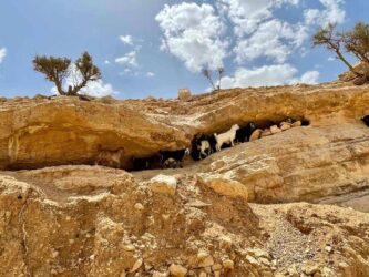 Jordan, Wadi Ghuweir - Hiking the Wadi Ghuweir Trail