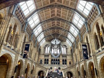 UK, London - National History Museum