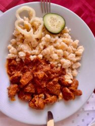 Hungary, Budapest - Chicken Paprikash with noodles