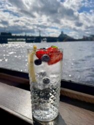 Latvia, Riga - Gin and tonic
