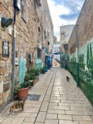 Israel, Akko - Old city