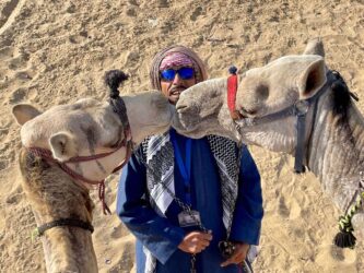 Egypt, Giza - Camels