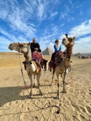 Egypt, Giza - Camels