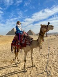Egypt, Giza - Camel