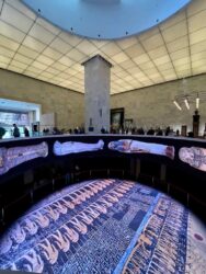 Egypt, Cairo - The National Museum of Egyptian Civilization