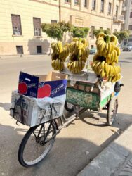 Egypt, Cairo - Street vender
