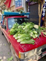 Egypt, Cairo - Street vender