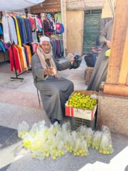 Egypt, Aswan - Aswan Souk, known as Sharia as-Souq