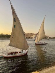 Egypt, Aswan - Feluccas on the Nile