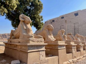 Egypt, Luxor - The Road of Rams