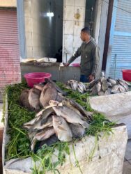 Egypt, Luxor - Fish shop