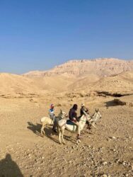 Egypt, Luxor - The Valley of the Kings