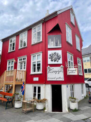 Iceland, Reykjavík – The town