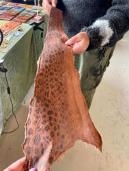 Iceland, Reykjavík – Fish leather, Kolaportid flea market