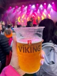 Iceland, Reykjavík – Viking beer