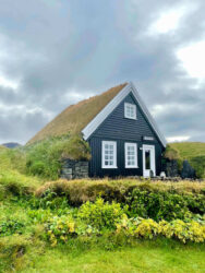 Iceland, Vestmannaeyjar - Moss house