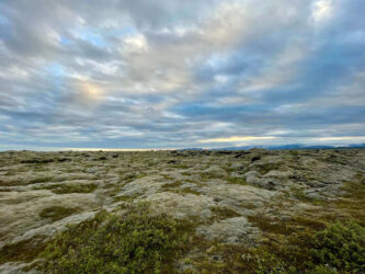 Iceland, Kirkjubæjarklaustur - Lava fields