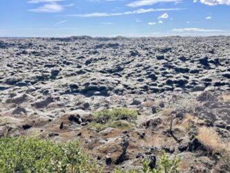 Iceland, Kirkjubæjarklaustur - Katia lava fields