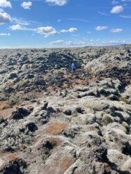 Iceland, Kirkjubæjarklaustur - Katia lava fields