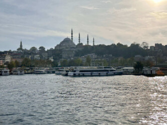 Turkey, Istanbul - Bosphorus cruise