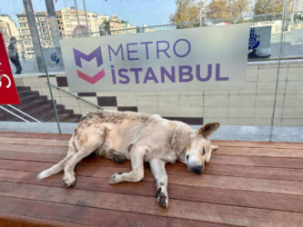 Turkey, Istanbul - Metro Istanbul