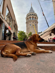 Turkey, Istanbul - Galata Tower