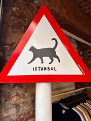 Turkey, Istanbul - Cats