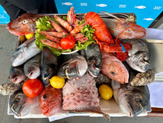 Turkey, Istanbul - Fish
