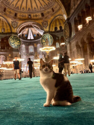 Turkey, Istanbul - Hagia Sophia