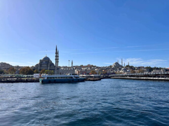 Turkey, Istanbul - Bosphorus cruise