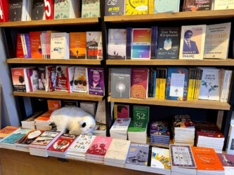 Turkey, Istanbul - Bookstore