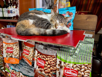 Turkey, Istanbul - Grocery store