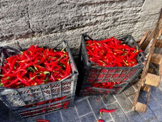 Turkey, Istanbul - Red peppers