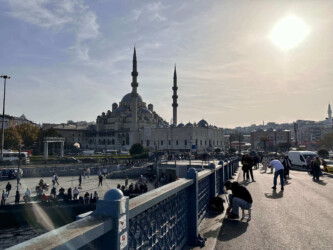 Turkey, Istanbul - The New Mosque (Yeni Cami)