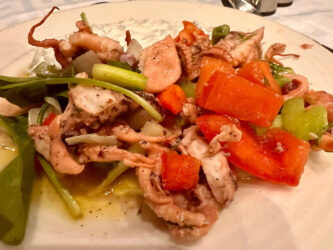 Cyprus, Paphos - Octopus Salad