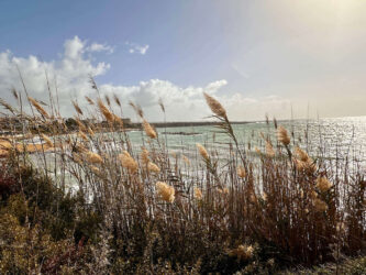 Cyprus, Peyia - Coral Bay